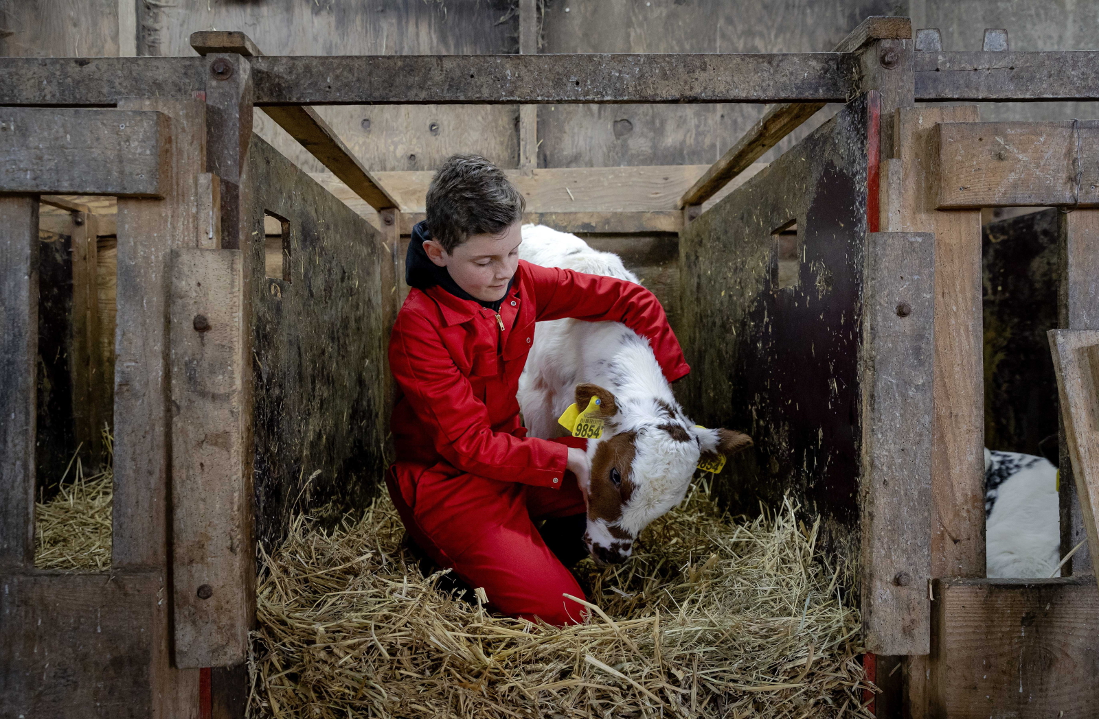 Agroturystyka Fot. PAP/EPA/ROBIN VAN LONKHUIJSEN