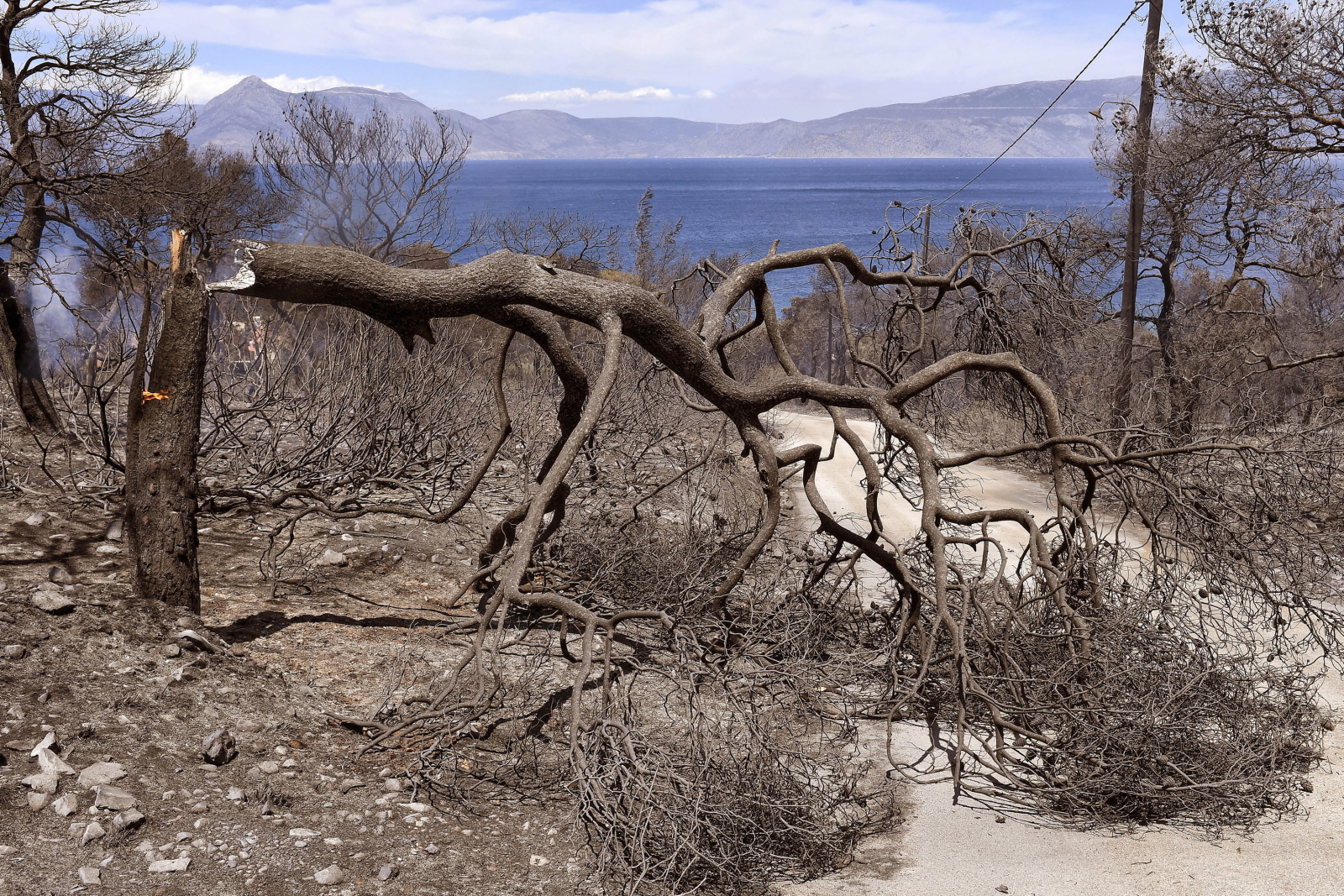 Przyroda ginie na greckiej wyspie fot. EPA/VASSILIS PSOMAS 
