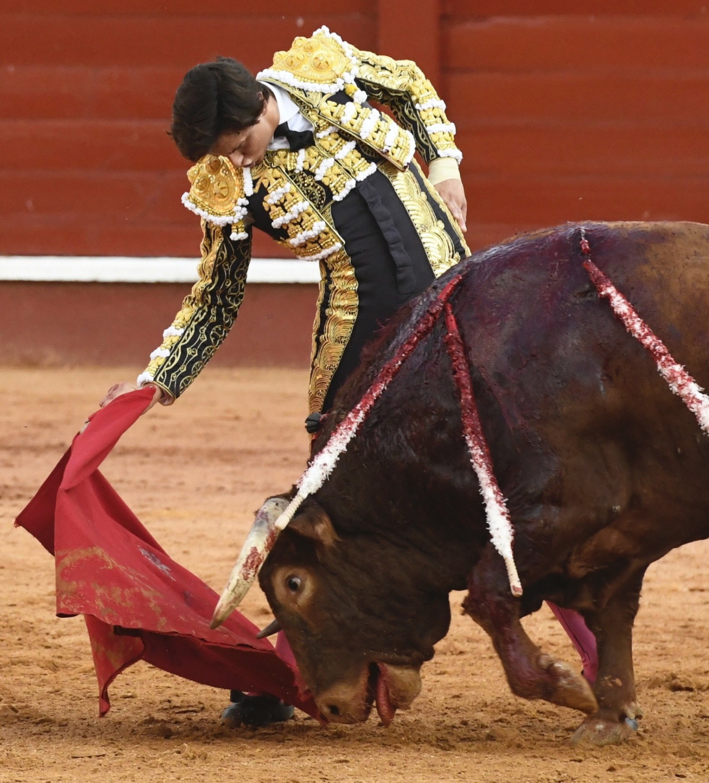 Corrida fot. EPA/Victor Lerena 
.