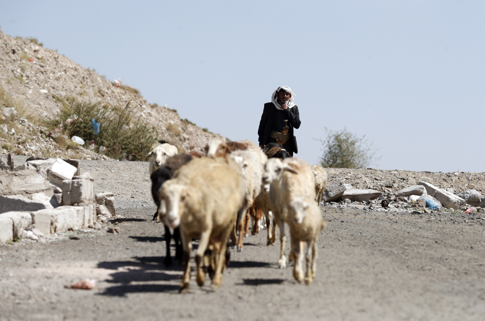 Pasterze w Jemenie EPA/YAHYA ARHAB 