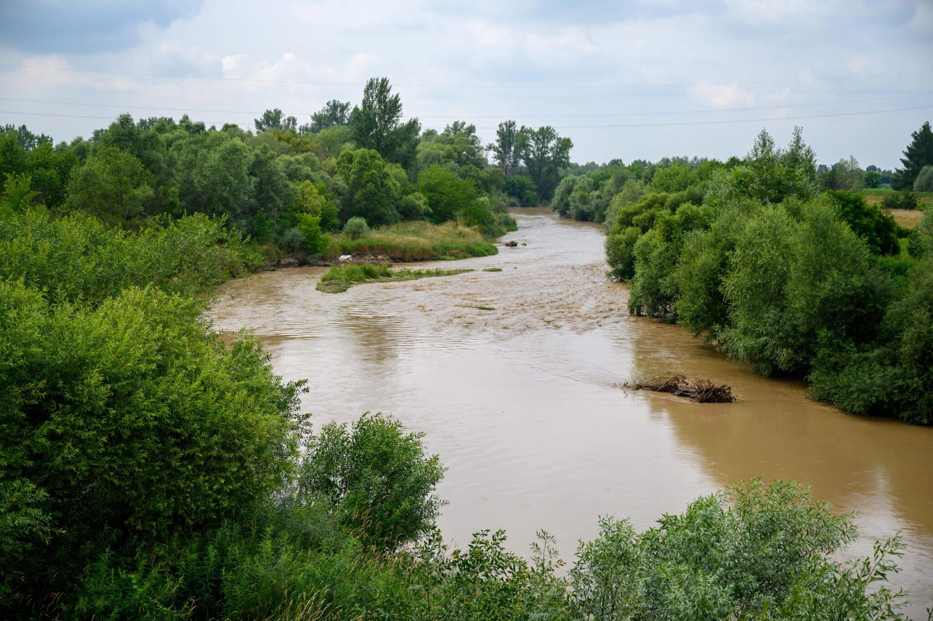 Deszcz w Beskidach: rzeka Koszarawa przekroczyła stan ostrzegawczy