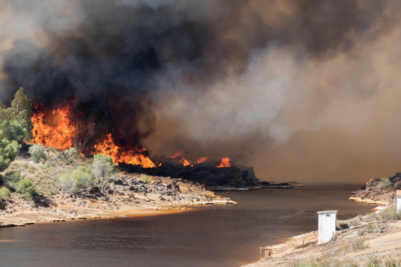 Pożar lasu w Hiszpanii fot. EPA/DAVID ARJONA RAMIREZ 