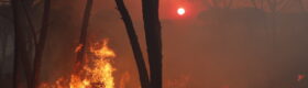 Pożary lasów we Francji fot. EPA/GUILLAUME HORCAJUELO