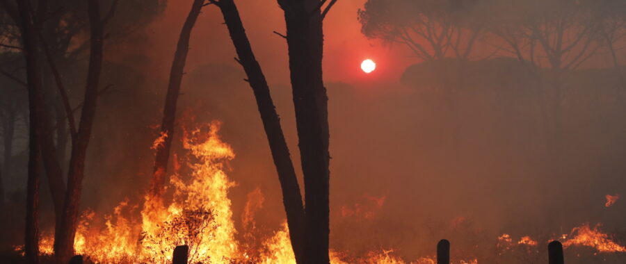 Pożary lasów we Francji fot. EPA/GUILLAUME HORCAJUELO