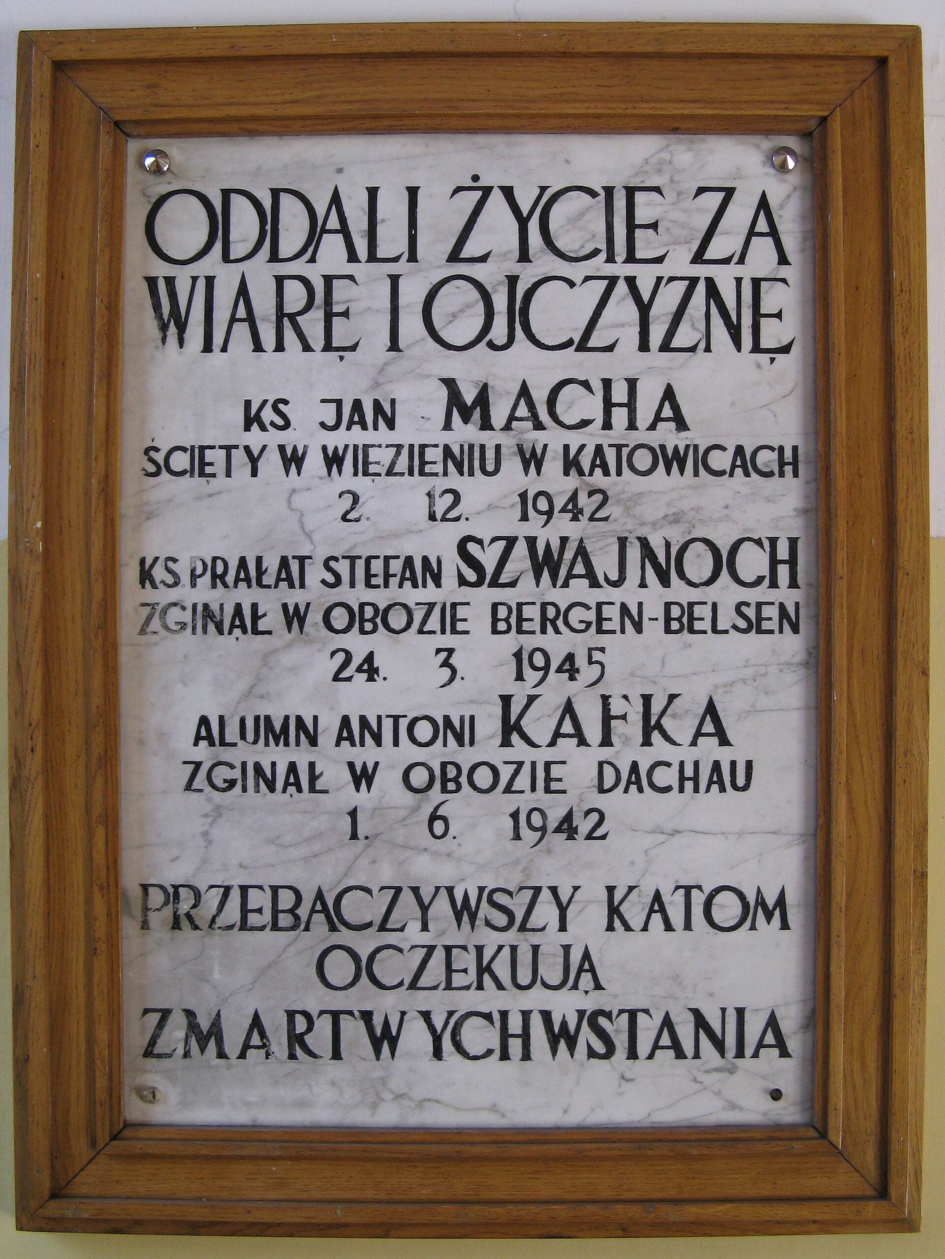 Ks. Bednarski: jeden z gestapowców patrząc na ks. Machę powiedział „To albo idiota, albo święty”