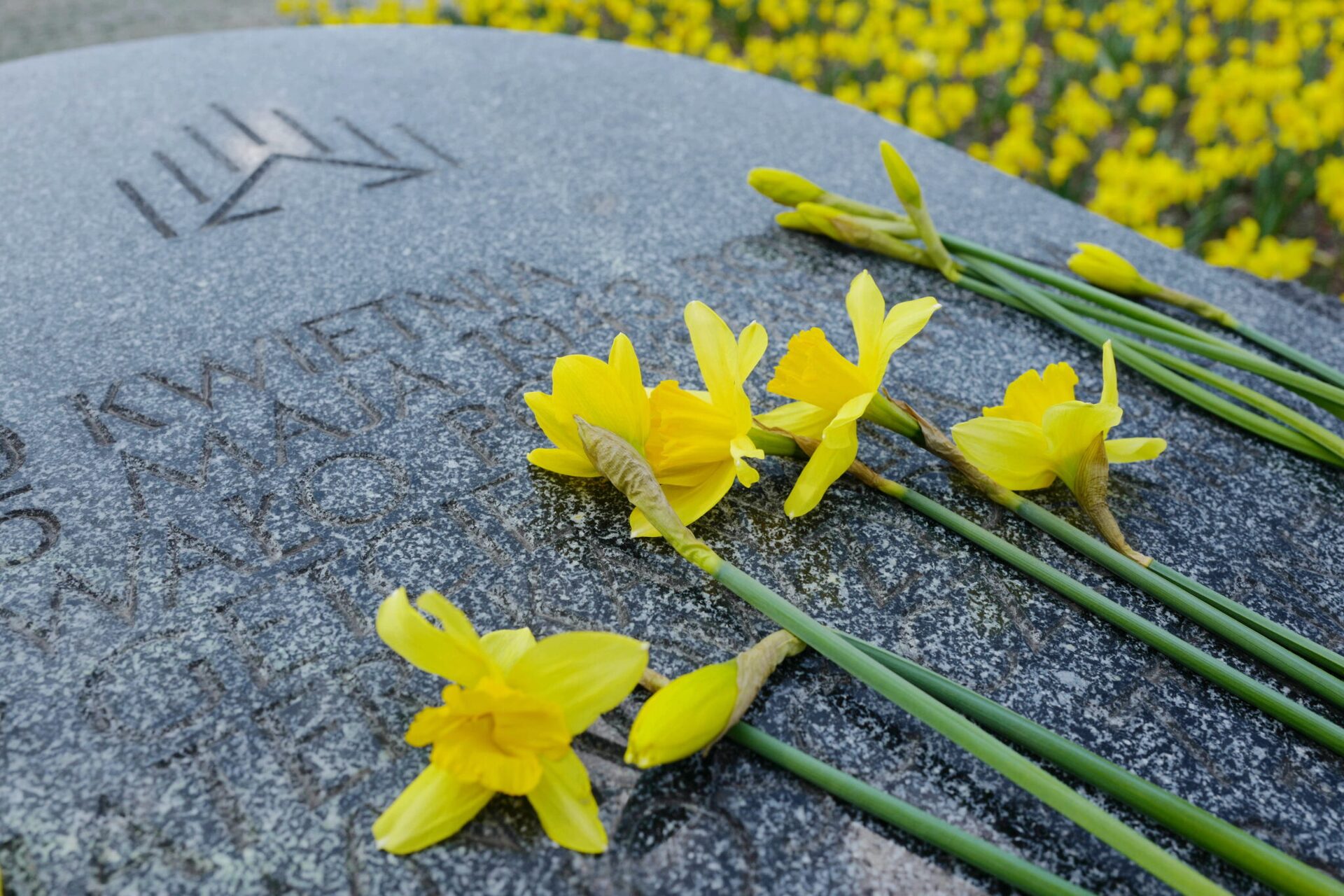 Kielecczyzna: trwa Akcja „Żonkile” upamiętniająca powstanie w getcie warszawskim