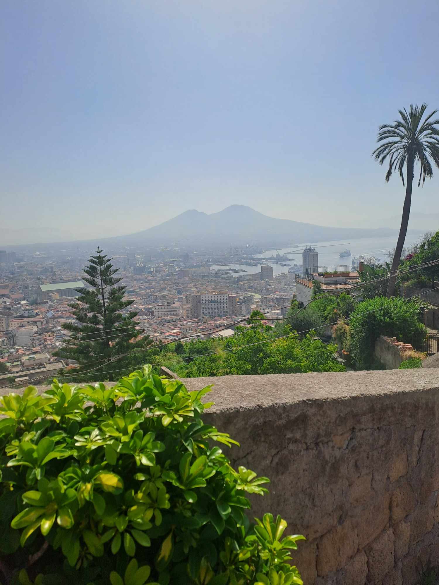 Neapol – miasto, w którym króluje Maryja i piłka nożna. I w którym pamiętają o ks. Dolindo