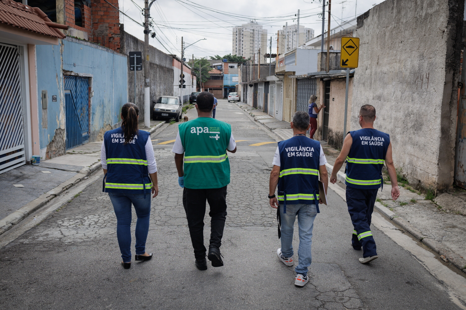 Brazylijskie miasta są w stanie pogotowia w związku z epidemią dengi [GALERIA]