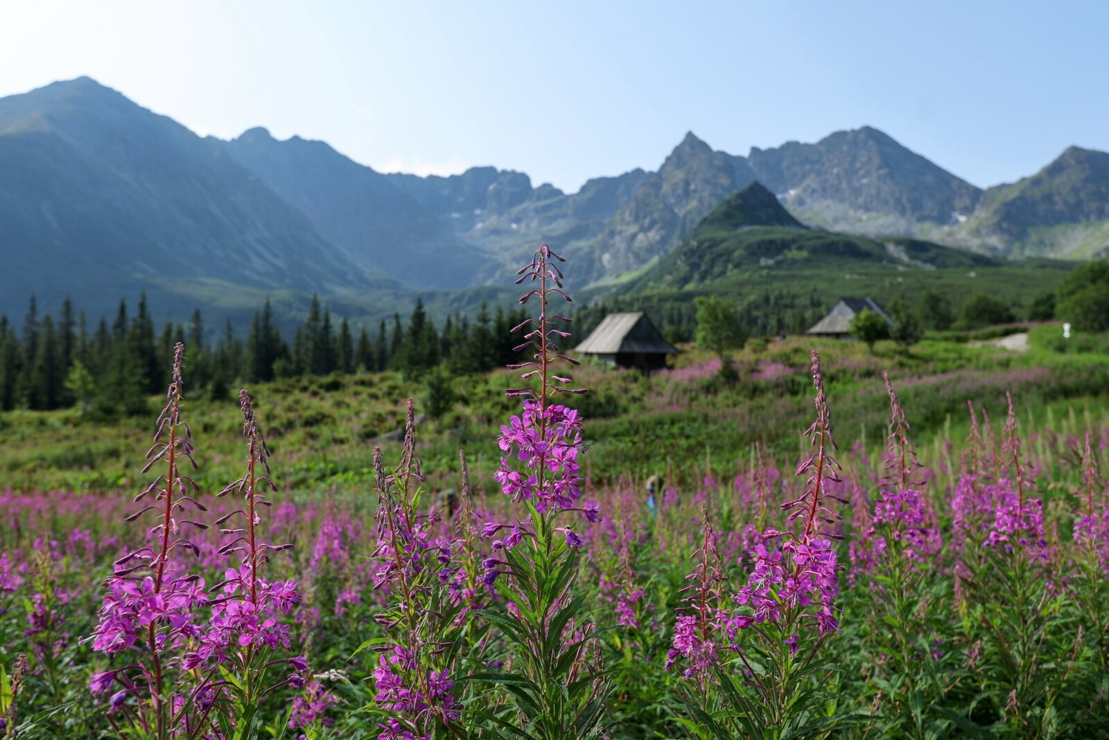 Tatry: ruszają remonty szlaków na Rysy i Zawrat; możliwe utrudnienia dla turystów