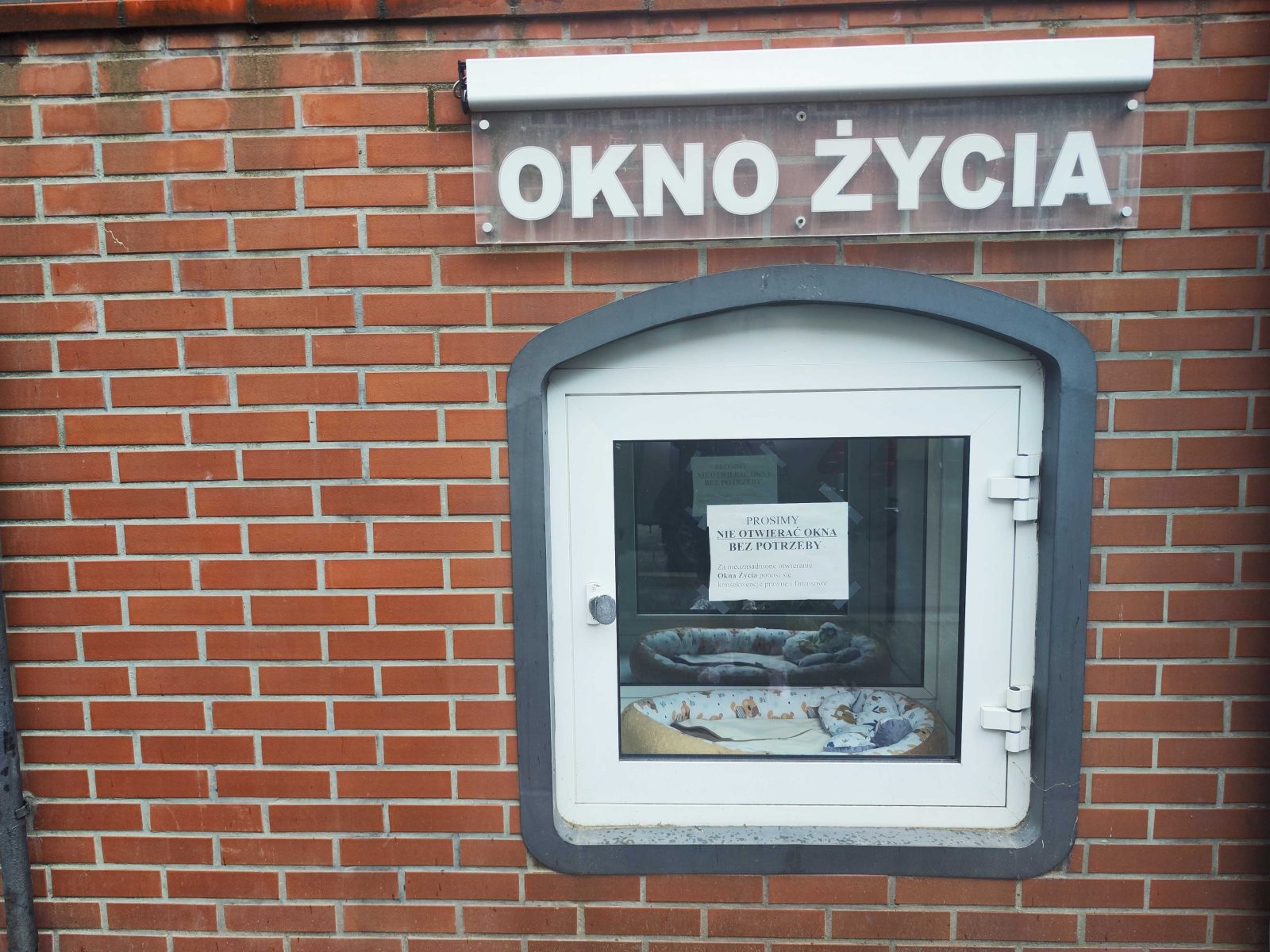 Naprotechnologia, Okno Życia i pomoc starszym – wszechstronna misja boromeuszek [REPORTAŻ]