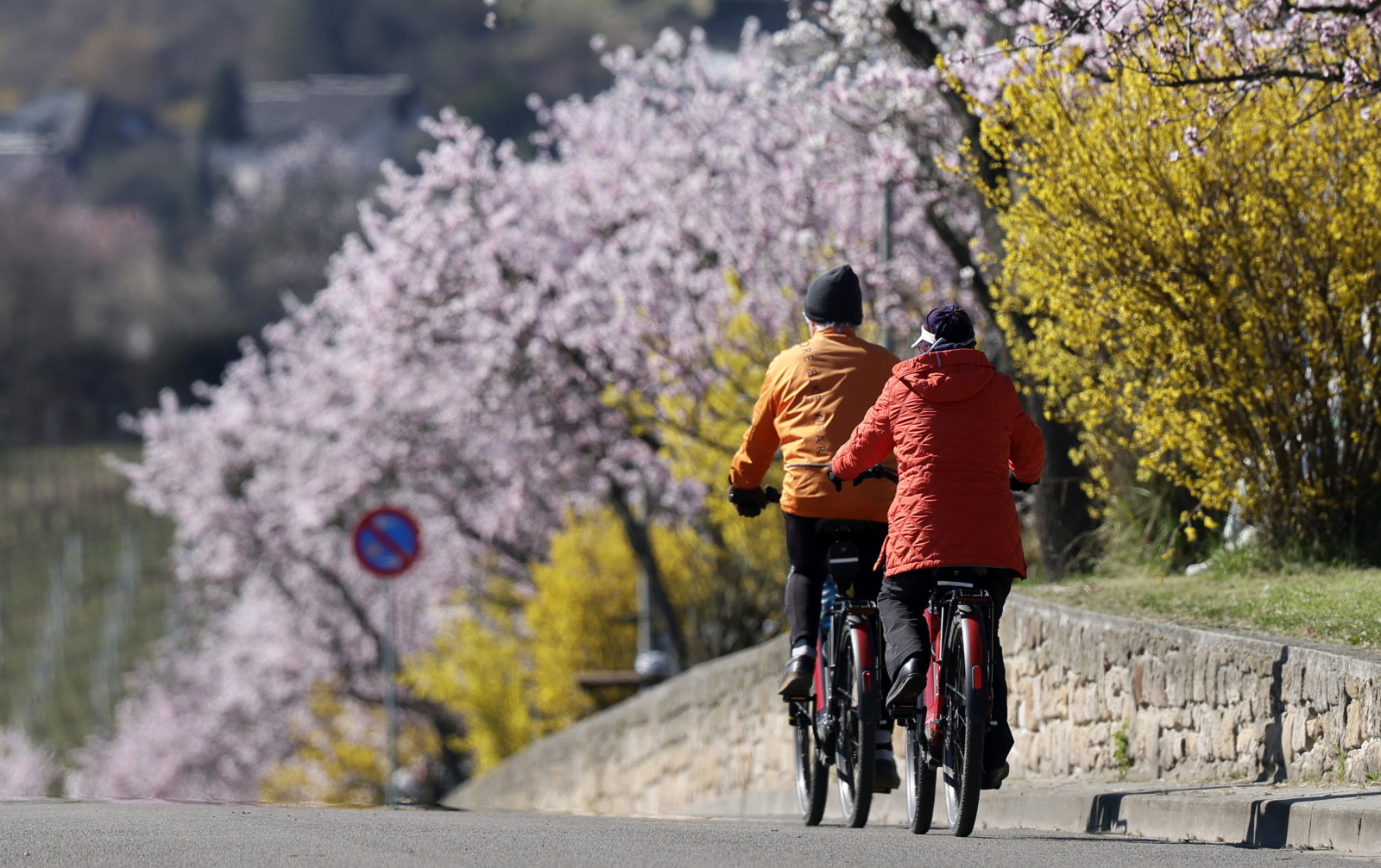 Papieże o wiośnie: przypomina o odrodzeniu i pokoju