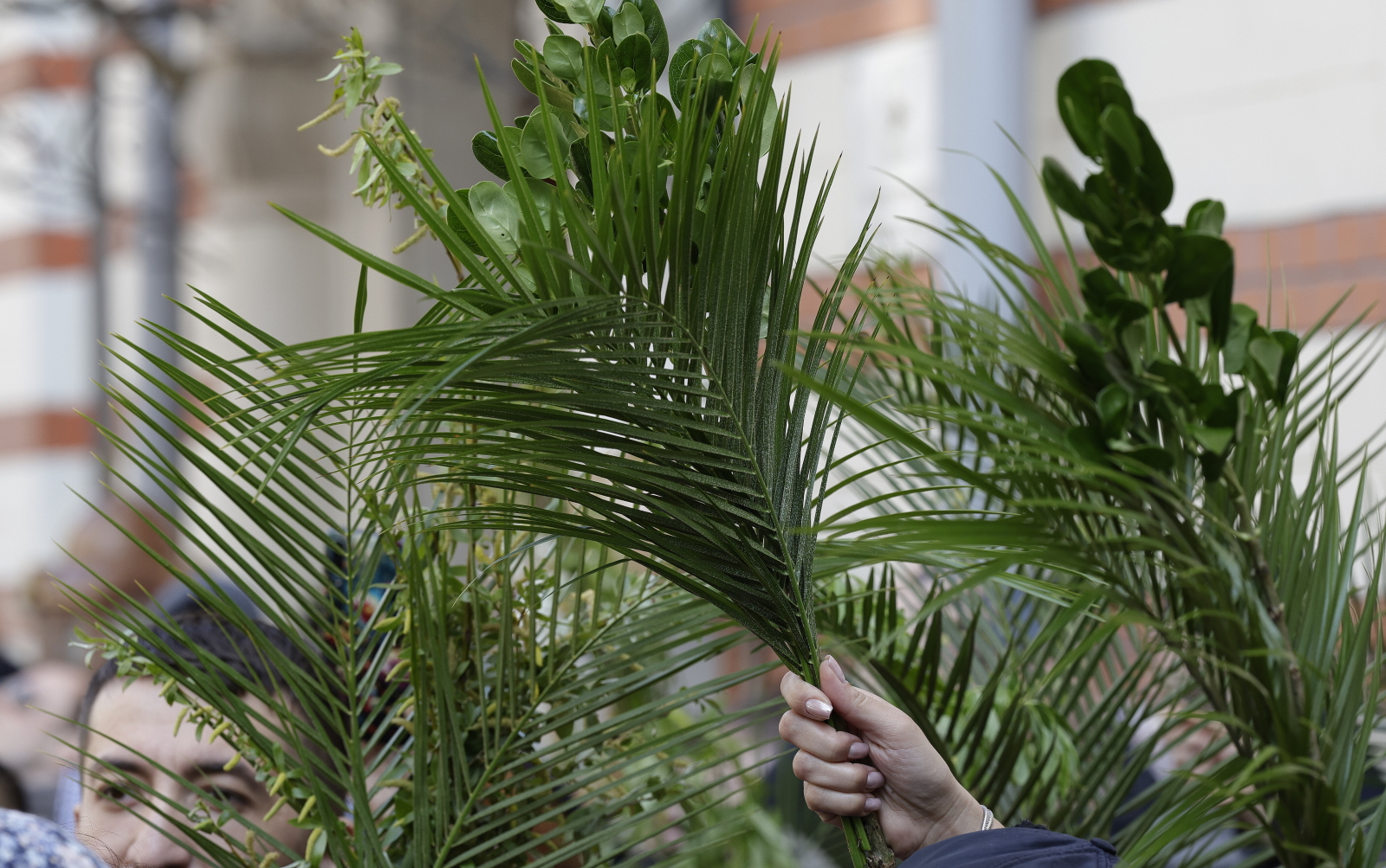 Dziś Niedziela Palmowa – początek Wielkiego Tygodnia