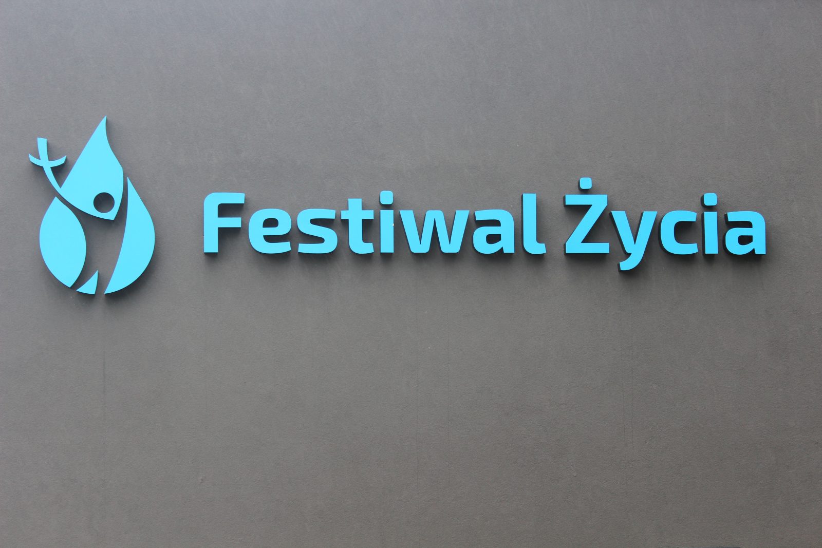 Młodzi na Festiwalu Życia w Kokotku: to tydzień, który zmienia serce