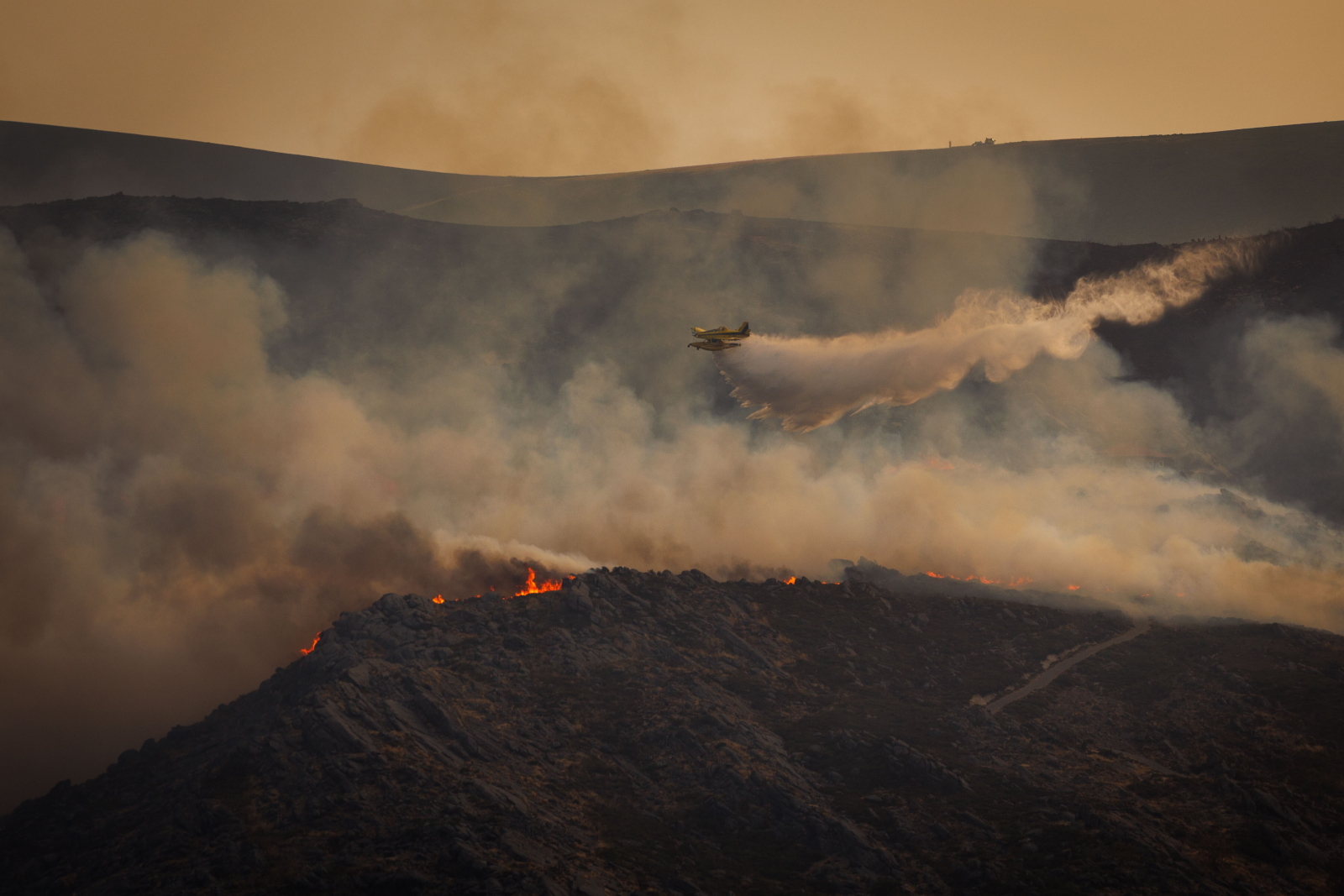 Mimo zaostrzenia kar od początku roku doszło do ponad 12,2 tys. pożarów traw