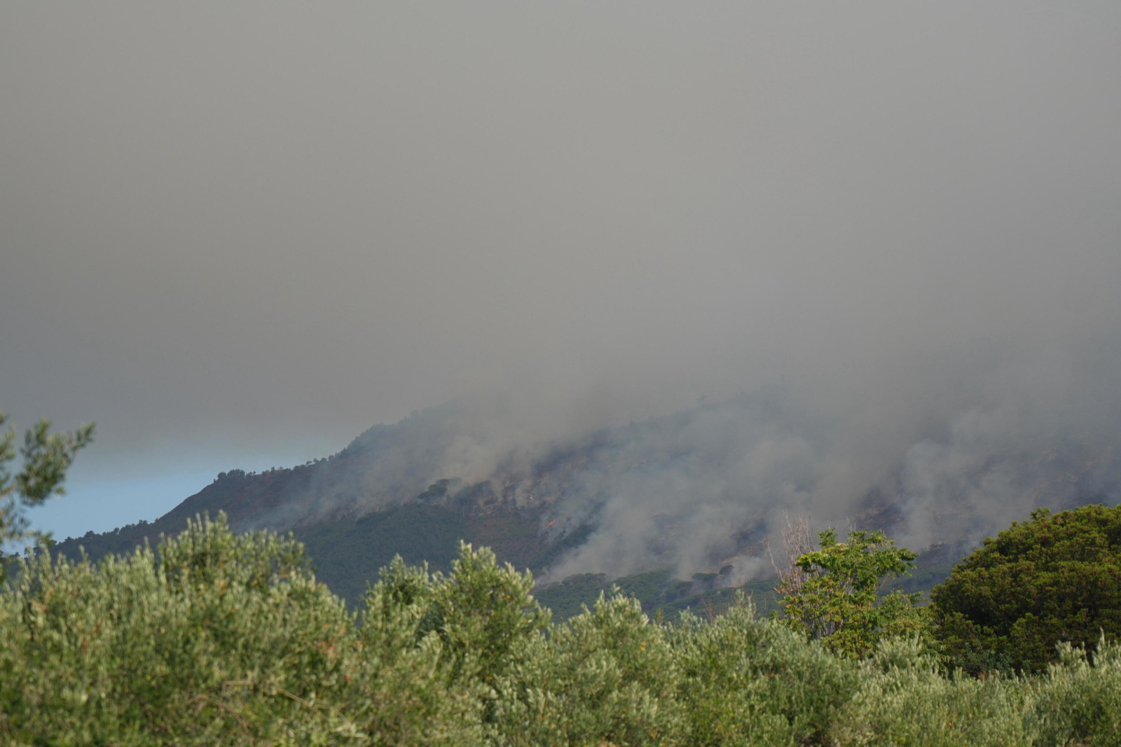 Włochy: strażacy walczą z pożarem w rejonie Wezuwiusza