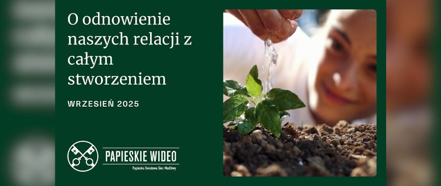Papieska intencja na wrzesień: o odnowę relacji ze stworzeniem [+WIDEO]