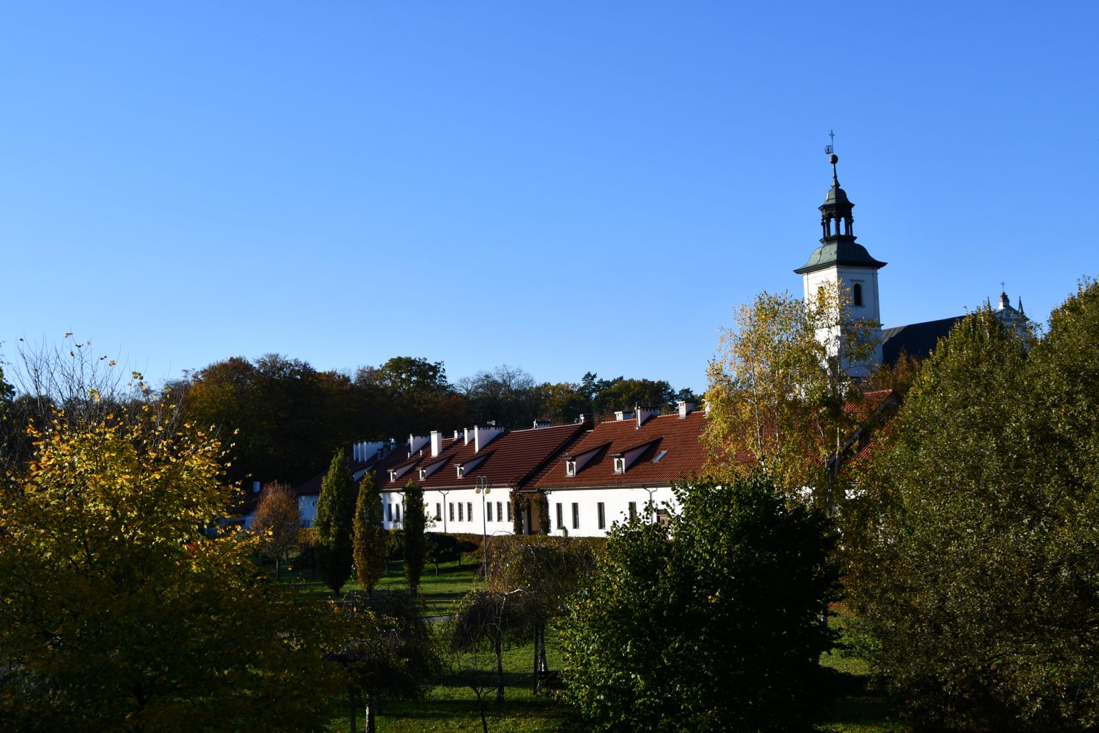 Wśród ciszy, która ocala. Pustelnia Złotego Lasu w Rytwianach [FOTOREPORTAŻ]