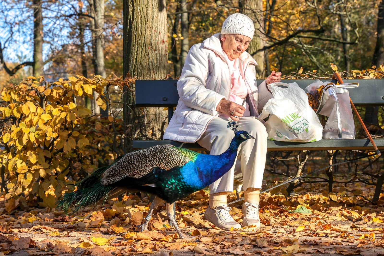 Komentarz do Ewangelii, 11 października 2025