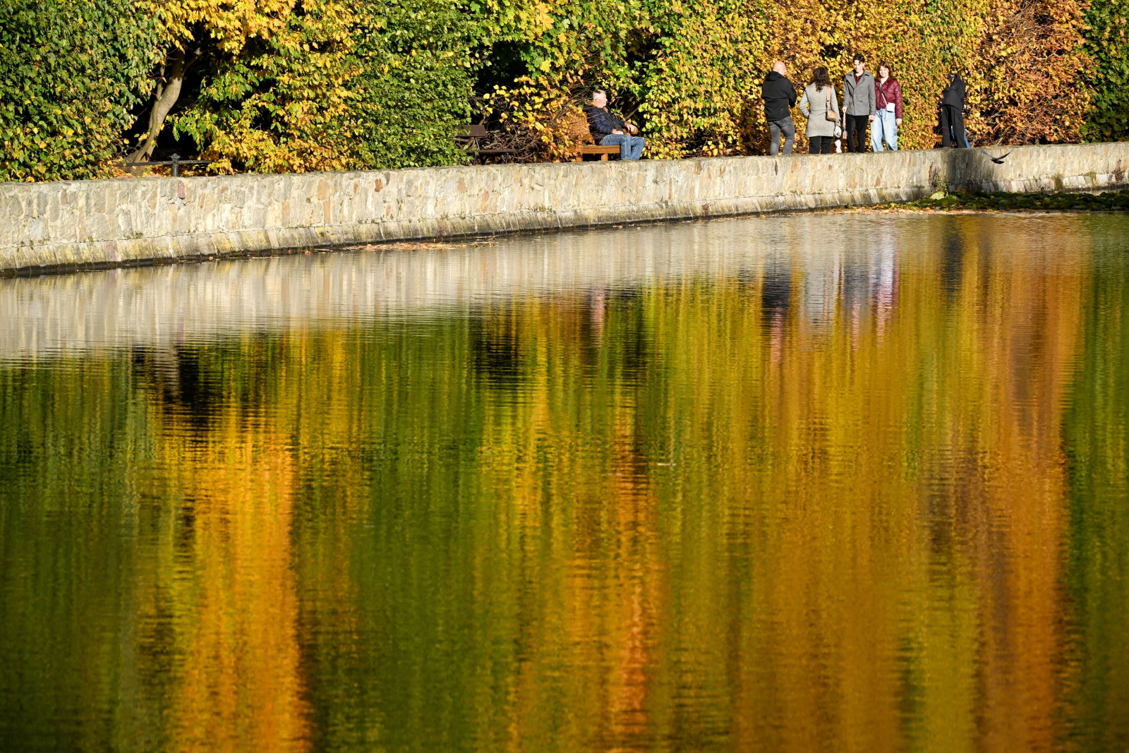 Złota jesień w Parku Oliwskim w Gdańsku [GALERIA]