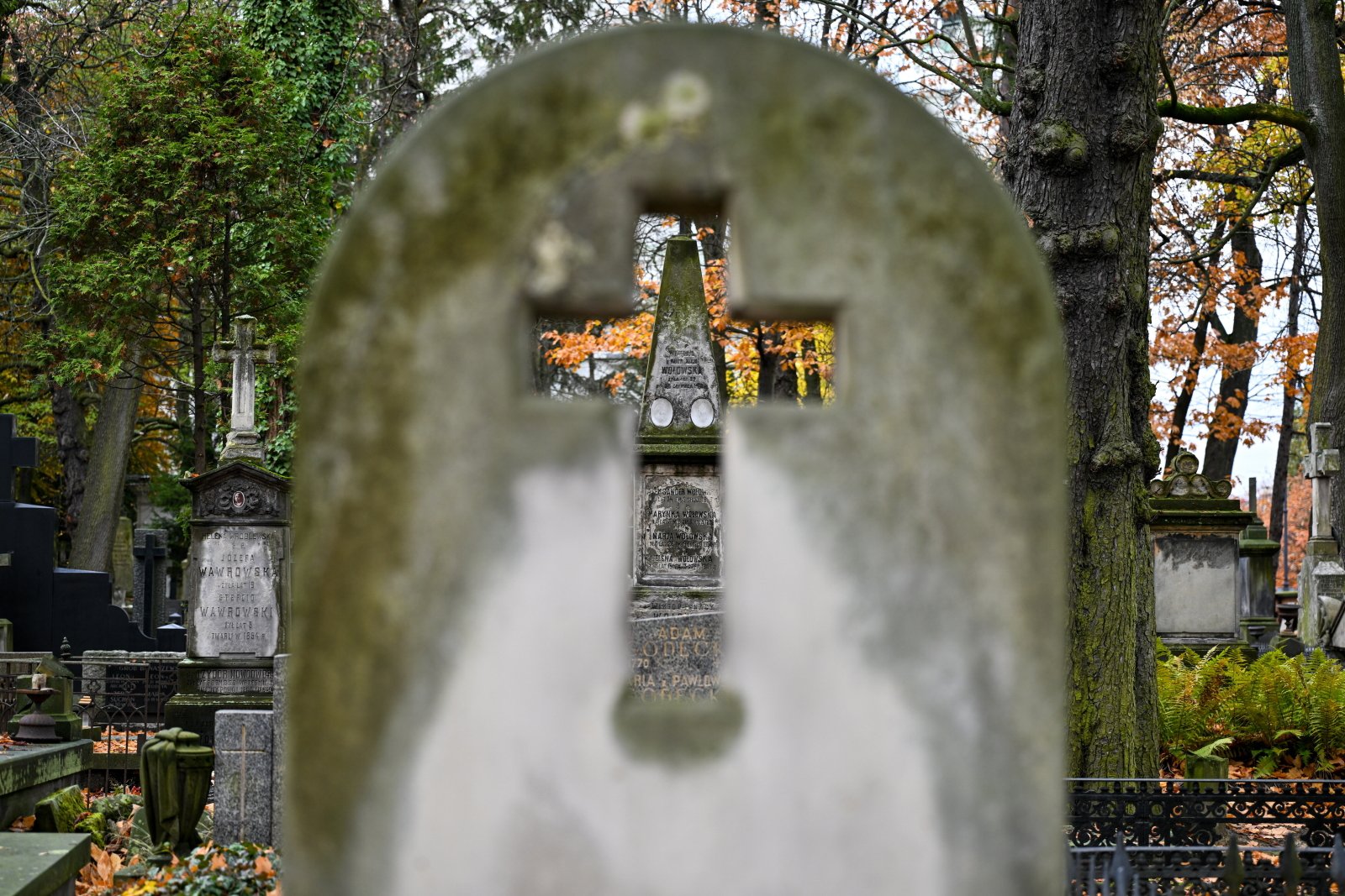 Bp Jacek Kiciński: Świętość nie jest ponad nasze siły