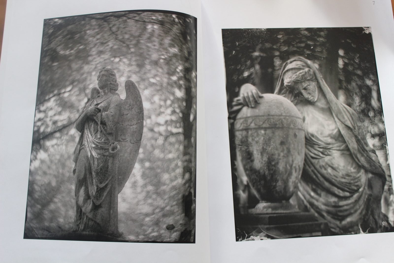 „Anioły – Świadkowie Ciszy” – wyjątkowy album o warszawskich Powązkach