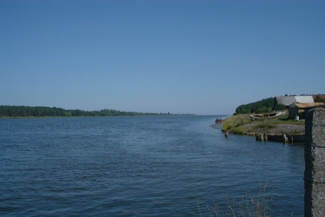 Ekspert: Mierzeja Wiślana jednym z najważniejszych korytarzy migracji ptaków w Europie