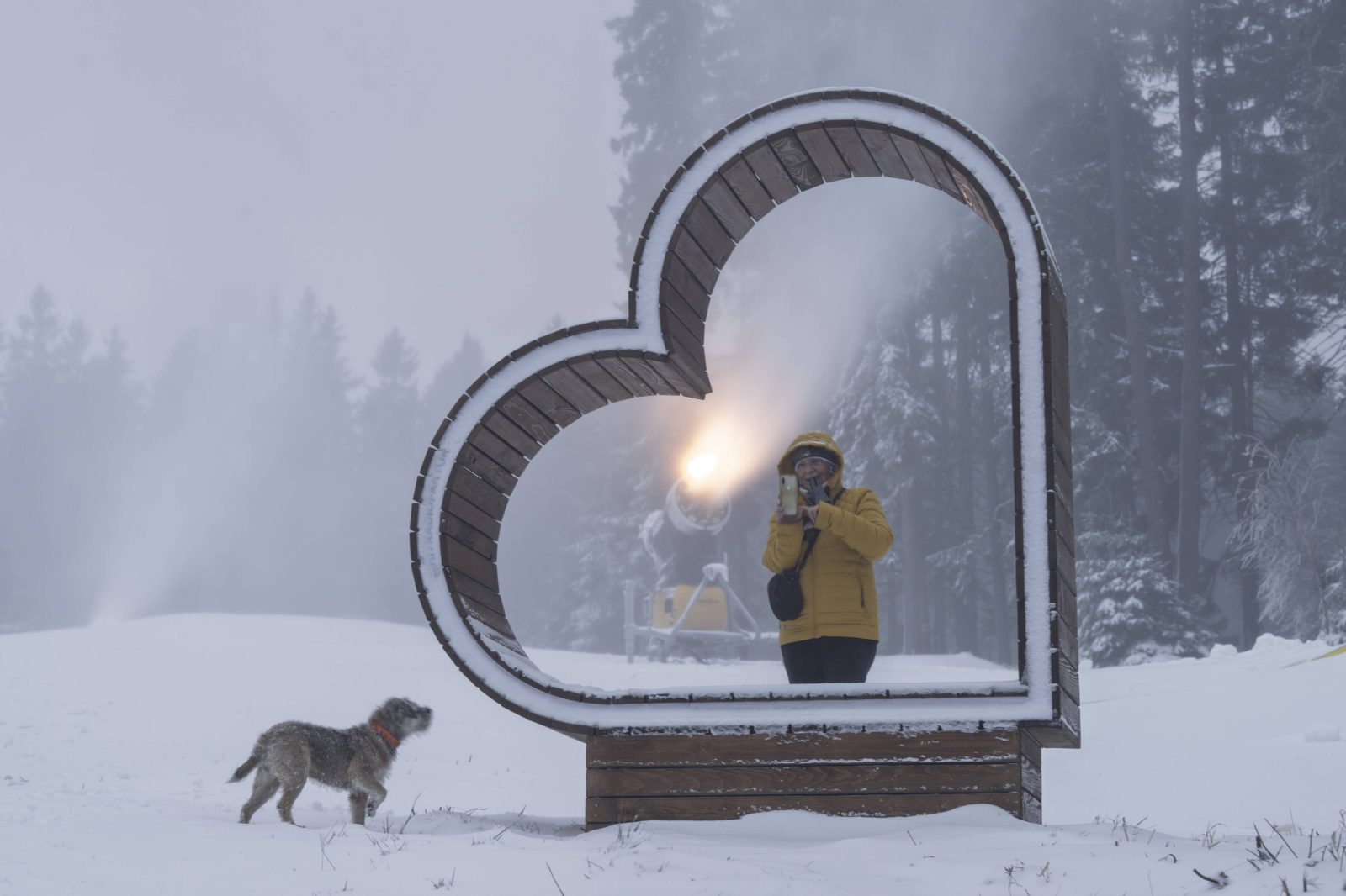 Komentarz do Ewangelii, 25 listopada 2025