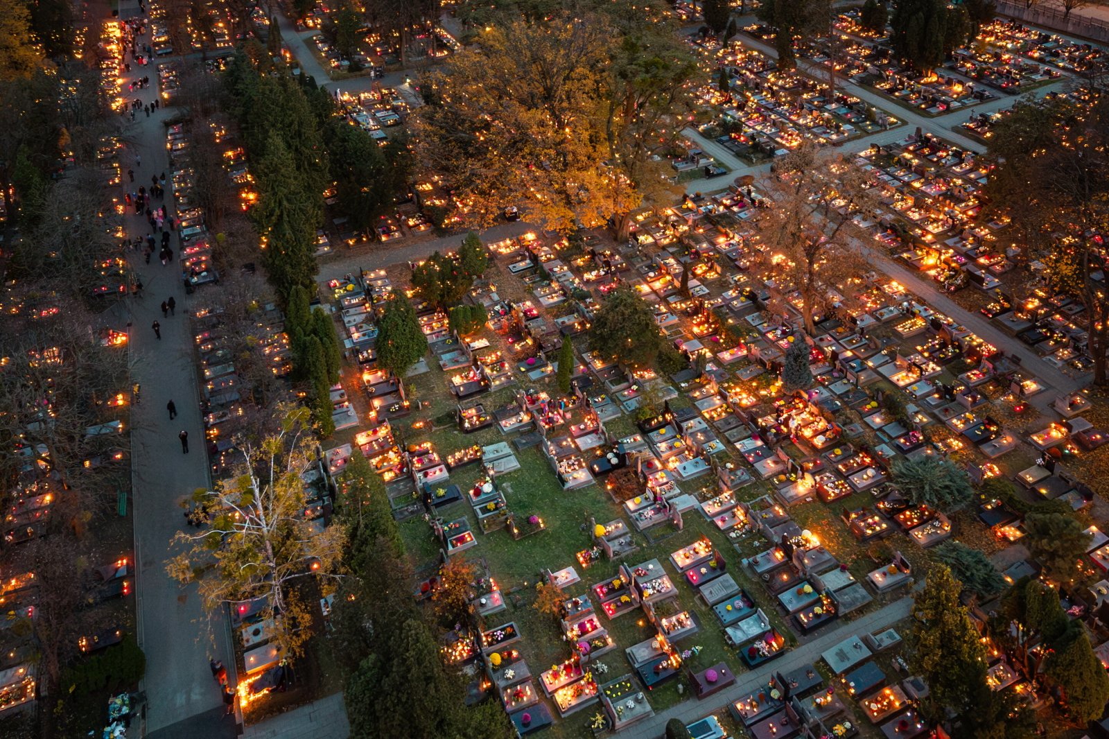 Bp Damian Bryl: Jezus, który zmartwychwstał otwiera człowiekowi drogę do wieczności