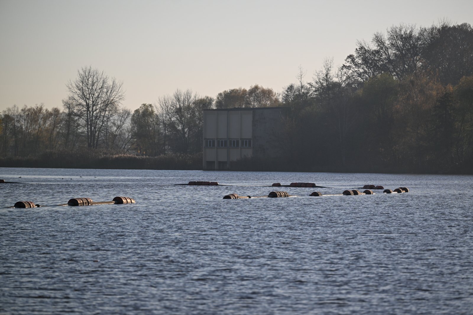 Dlaczego ważne jest odmulanie zalewów? [GALERIA]