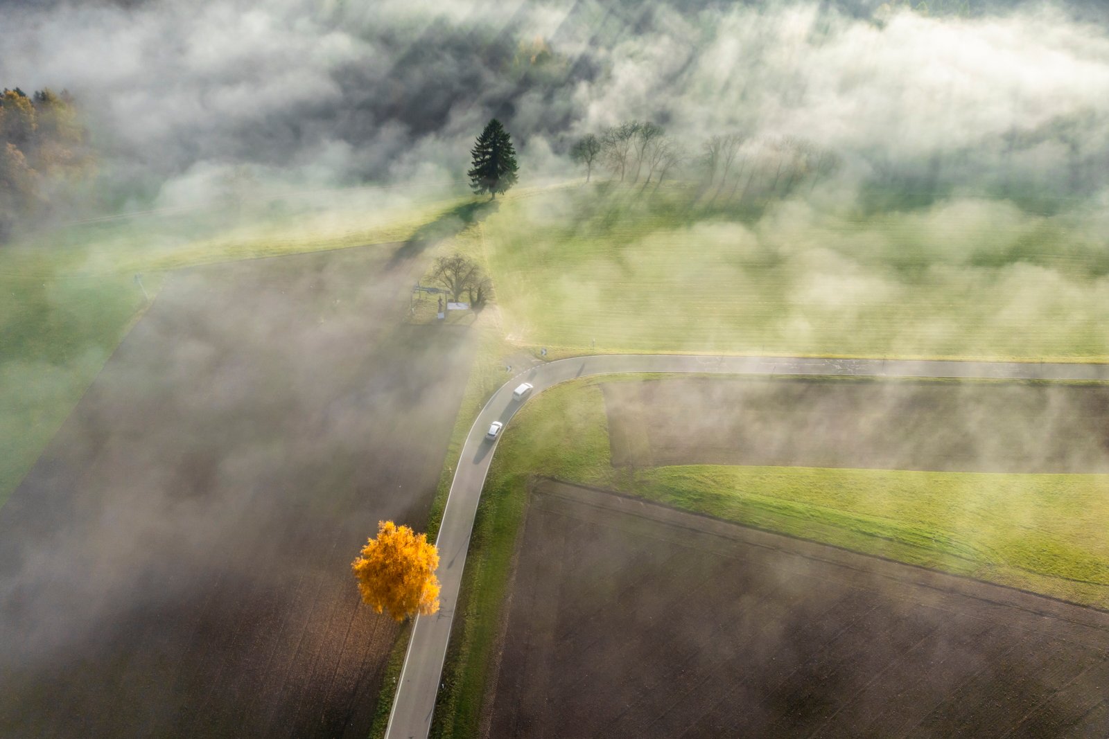 IMGW ostrzega przed gęstą mgłą w północno-wschodniej części kraju