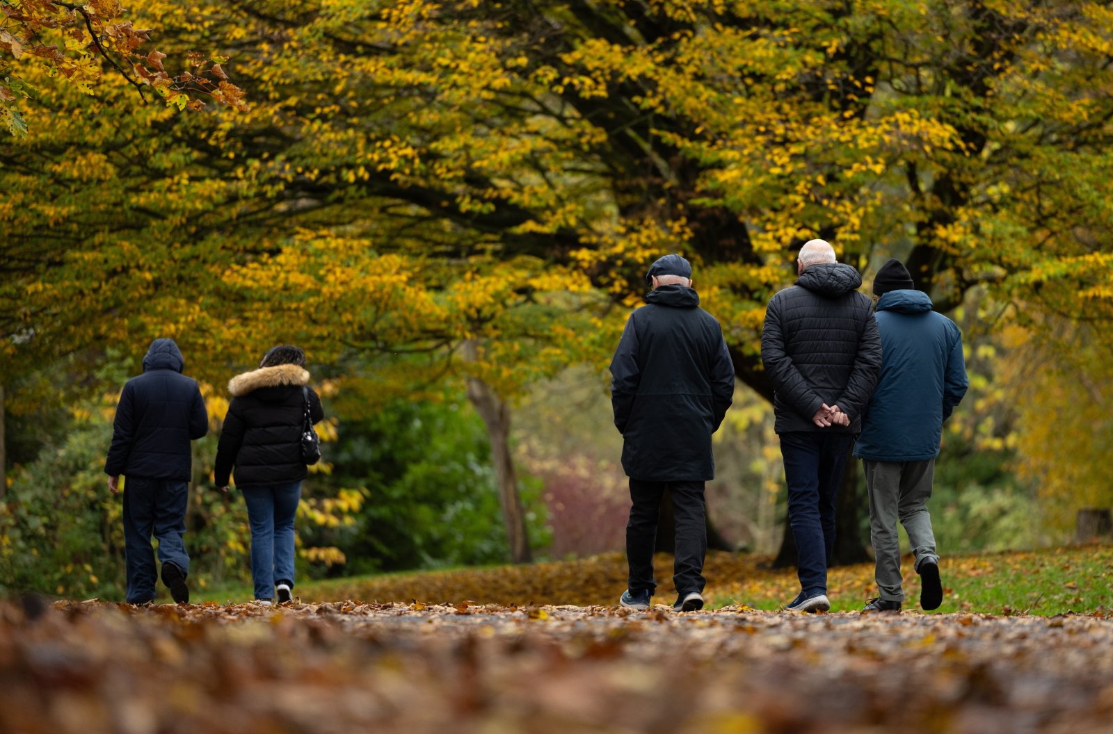 Znaczne ochłodzenie i warunki przedzimowe; od czwartku koniec jesiennej aury