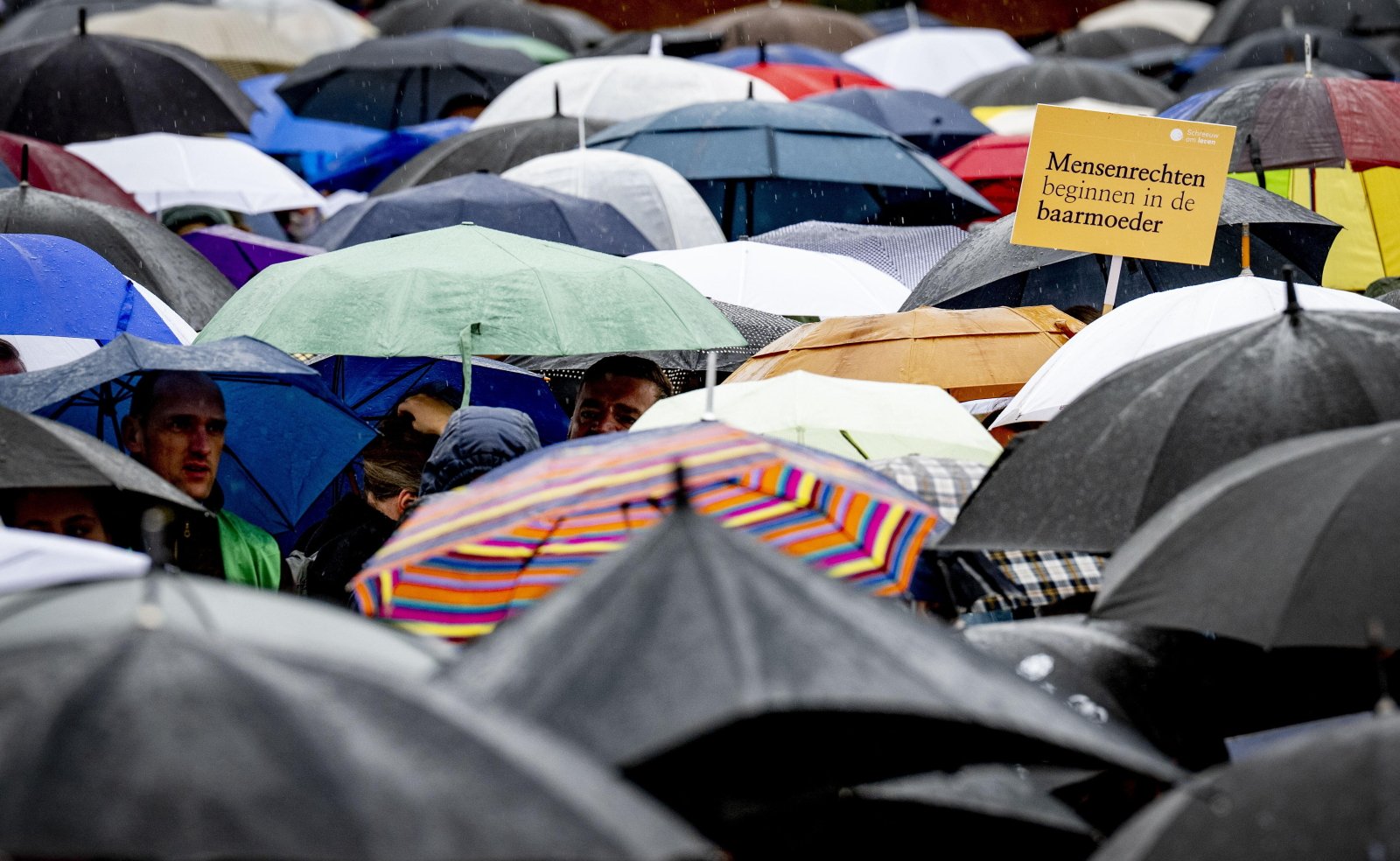 Londyńscy biskupi apelują o poszanowanie godności życia ludzkiego [OŚWIADCZENIE]
