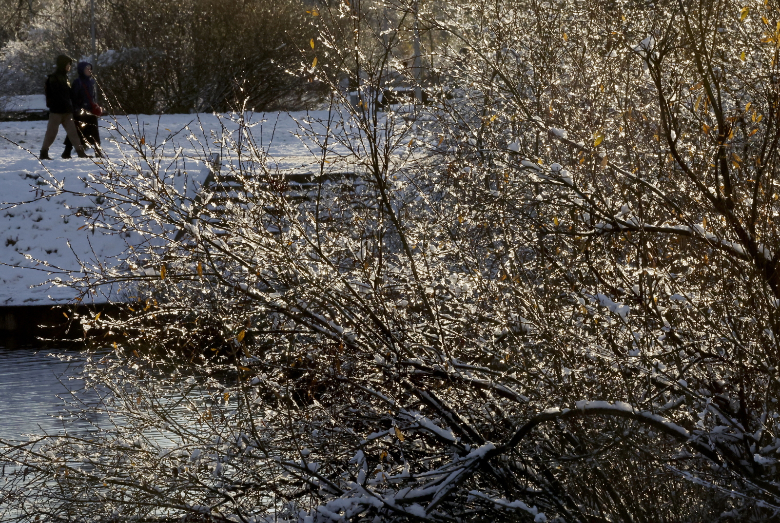 Środa ostatnim dniem spokojnej aury. Przymrozki w najbliższą noc
