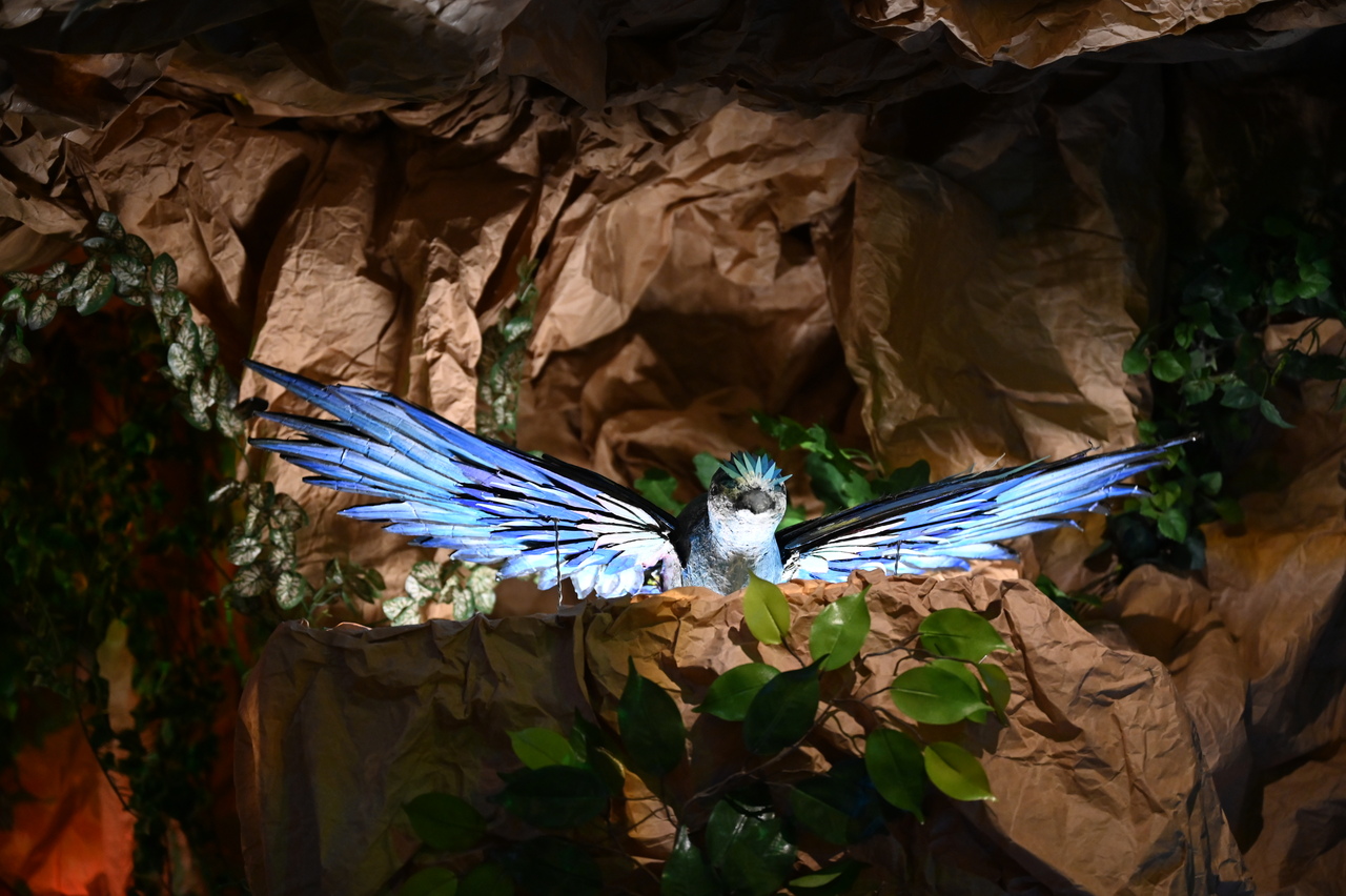 Szopka, poznańscy franciszkanie. fot. Michał Jóźwiak/misyjne.pl