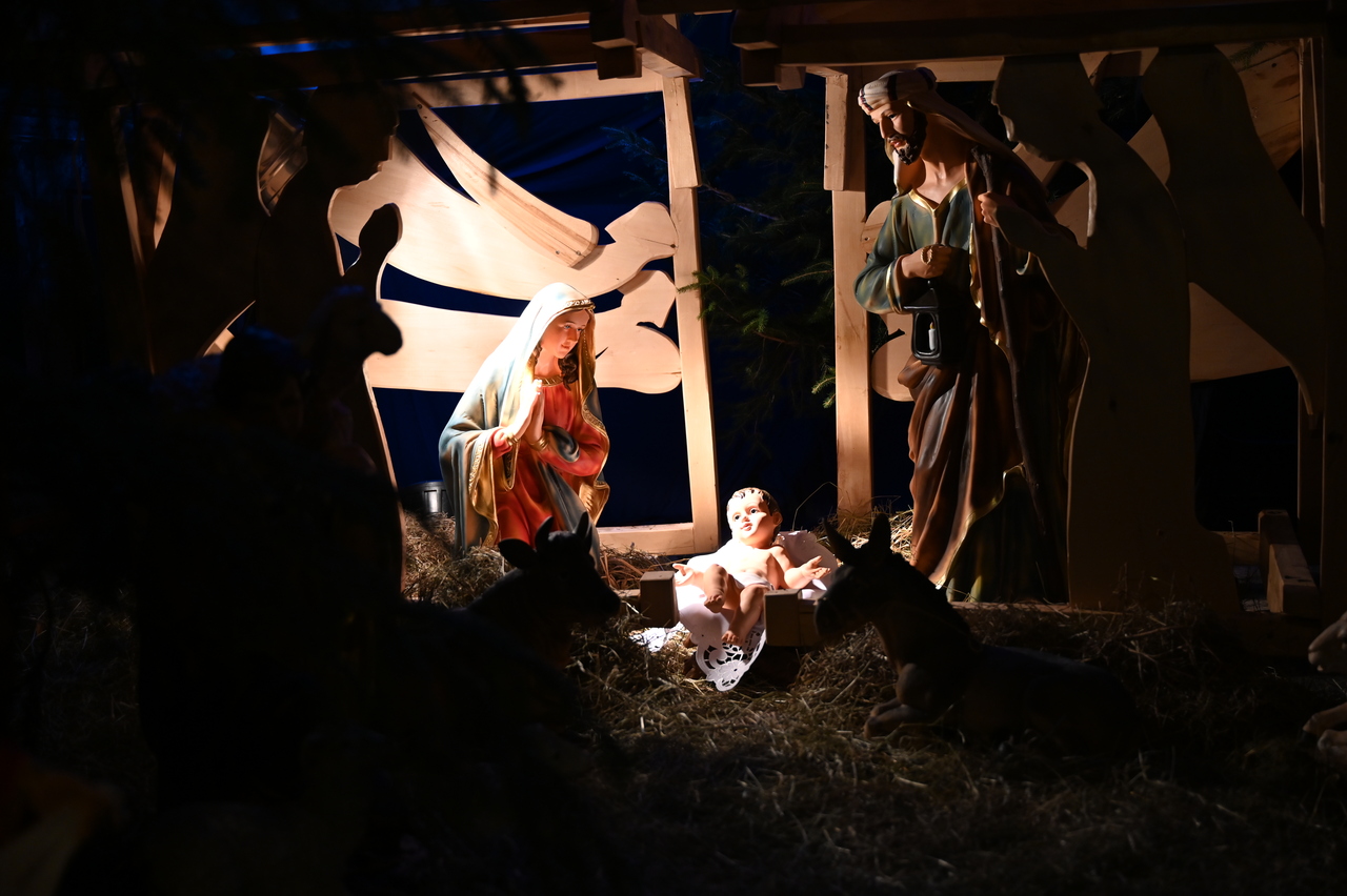 Katedra poznańska. fot. Michał Jóźwiak/misyjne.pl