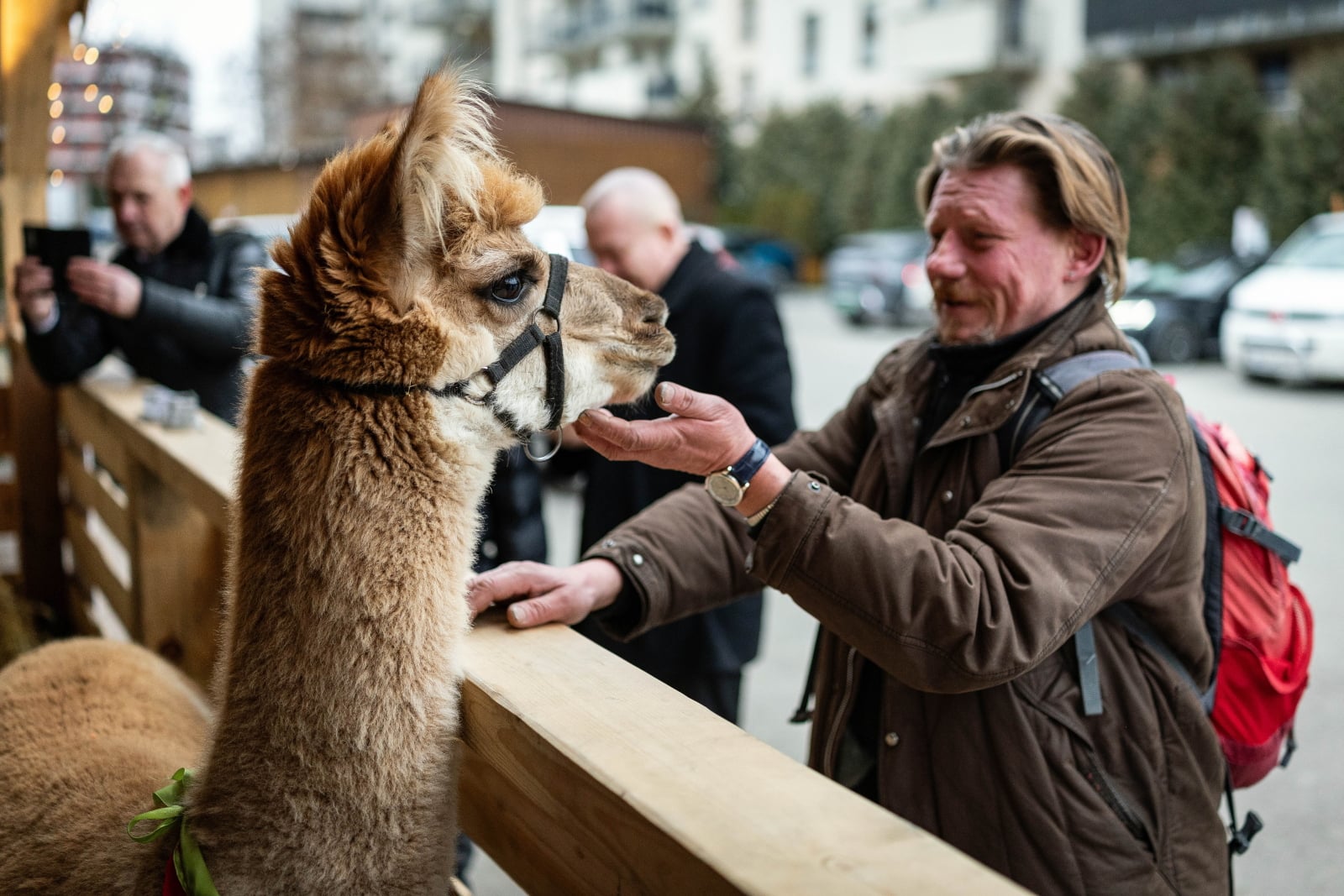 Kraków: 33. żywa szopka u franciszkanów przyciąga mieszkańców i turystów [+GALERIA]