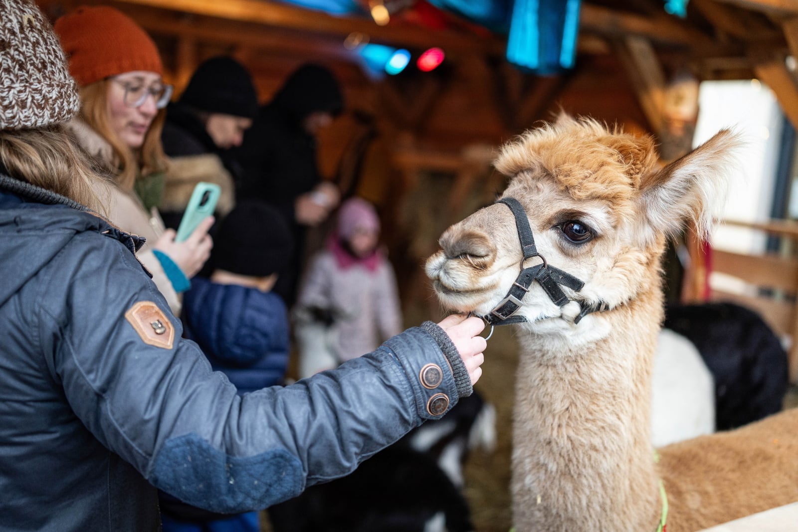 Kraków: żywa szopka wspiera cele charytatywne [GALERIA]