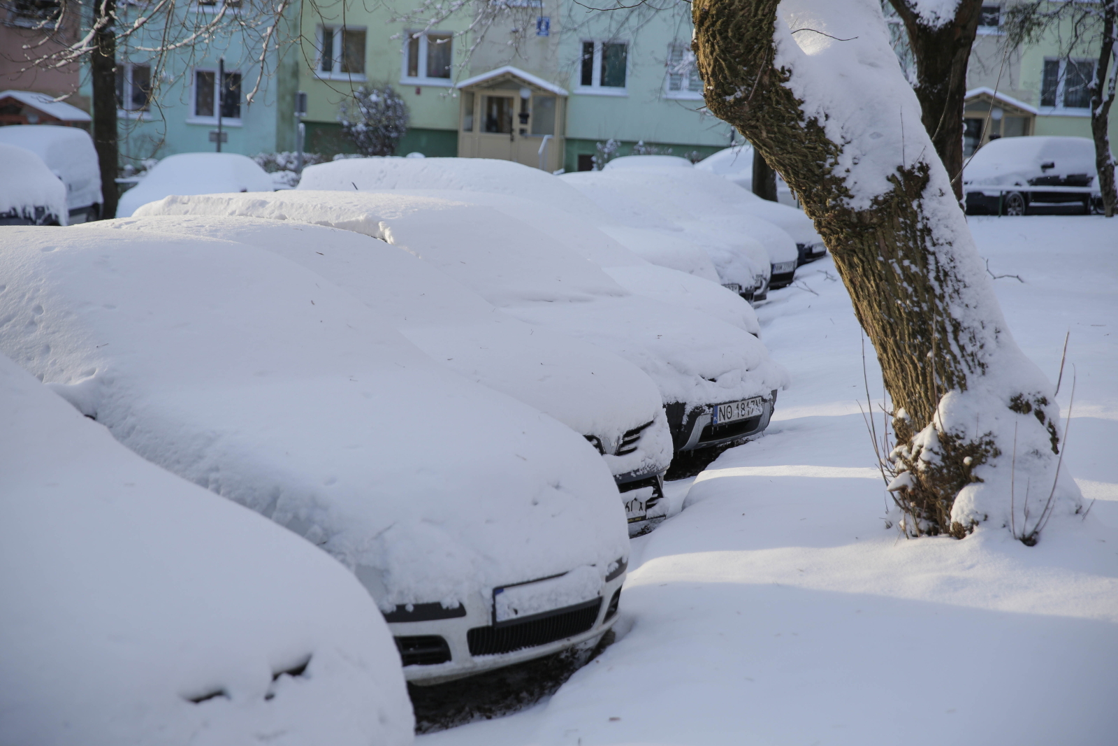 Czeka nas typowo zimowa niedziela [POGODA na 5 stycznia 2026]