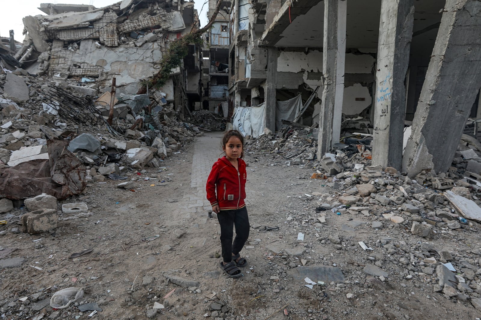 Kard. Pierbattista Pizzaballa w USA przypomni o dramacie chrześcijan