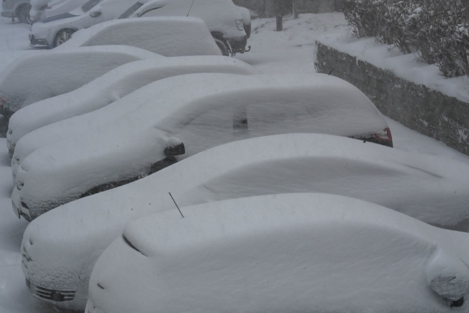 Przed nami silny mróz, zima nie odpuszcza