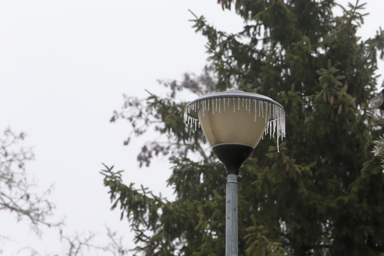 Wiele zgłoszeń osób z urazami głowy i kończyn w szpitalach w Poznaniu, Szczecinie i Toruniu