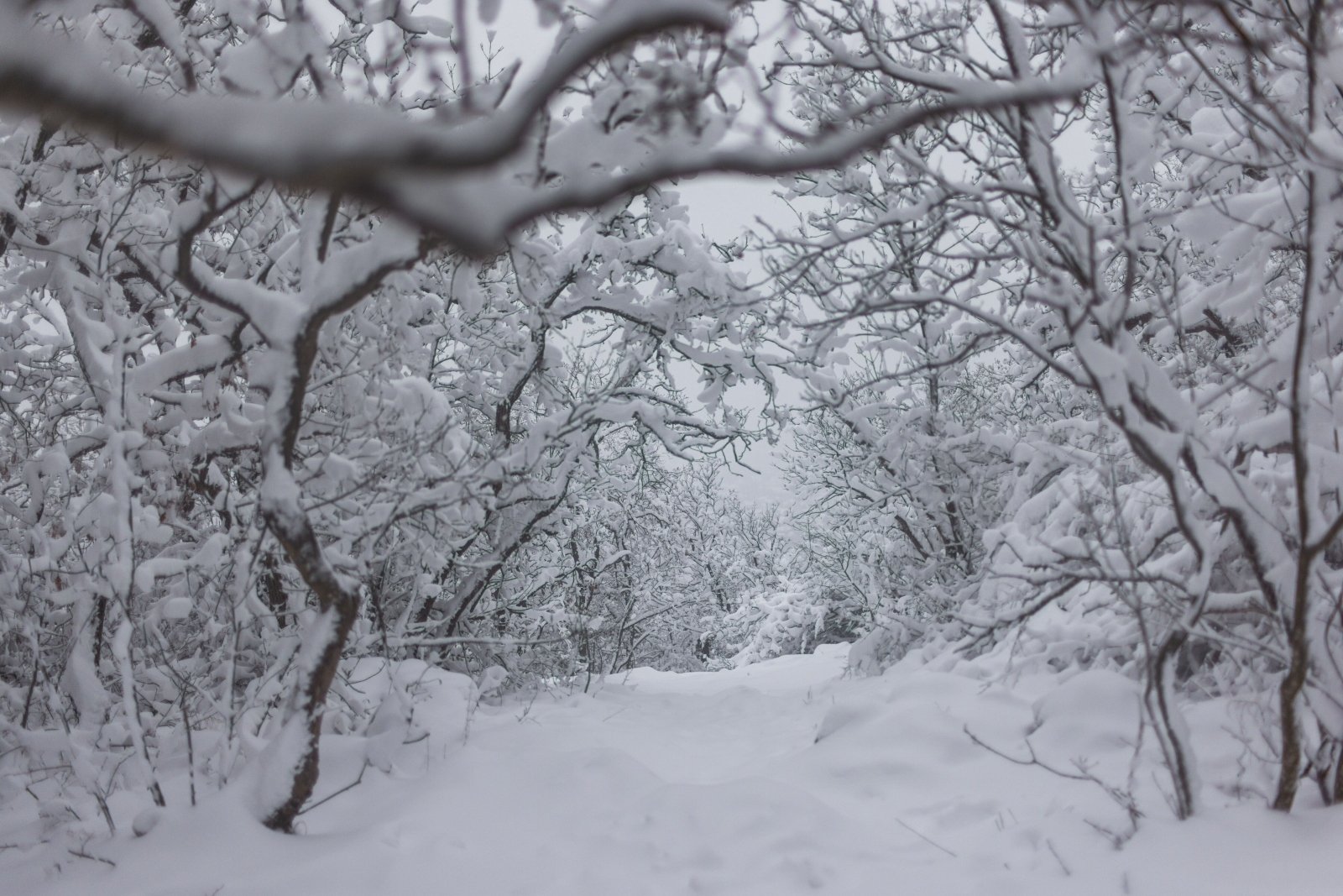 IMGW ostrzega przed dużymi mrozami