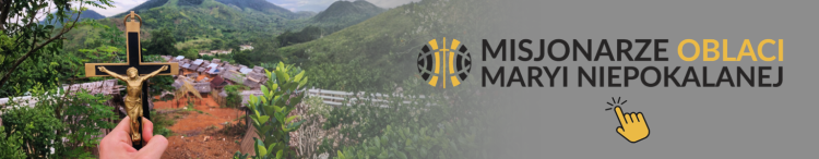 Leon XIV zachęca biskupów Francji do troski o edukację katolicką