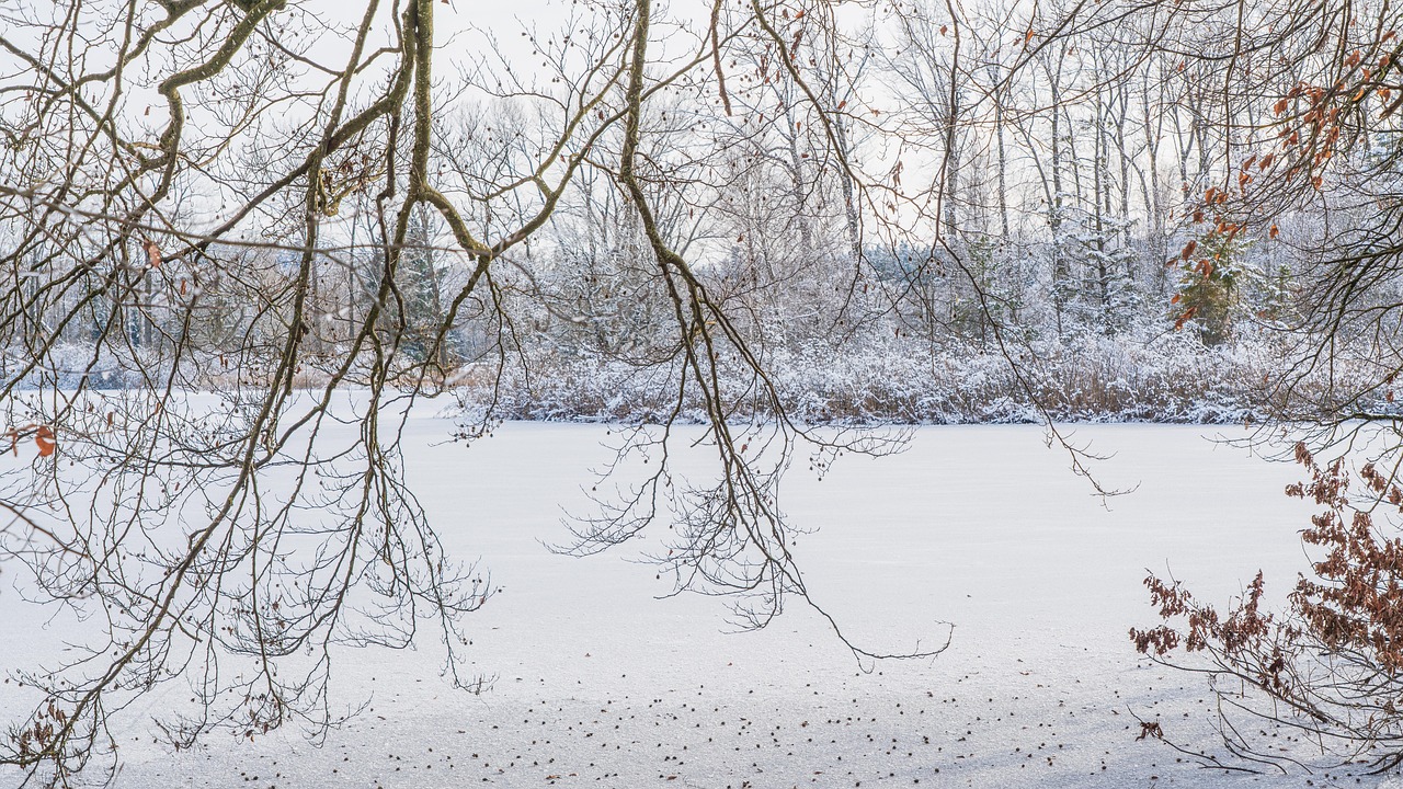 IMGW ostrzega 12 województw przed przymrozkami i gęstą mgłą