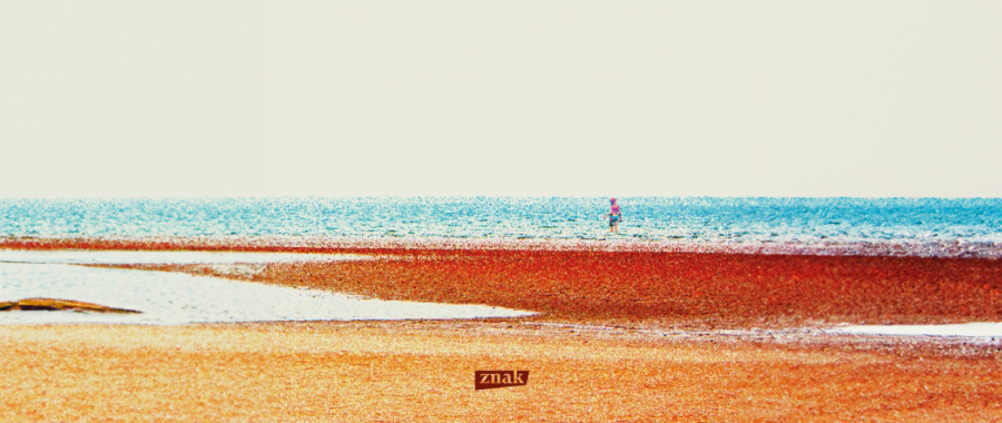 Baumgartner. O pamięci, która niesie pocieszenie [RECENZJA]