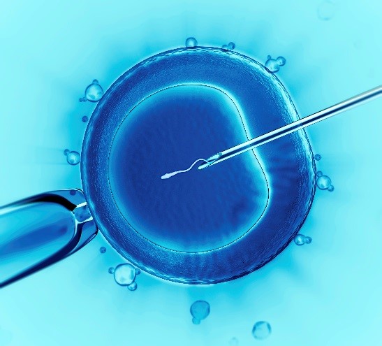 USA: biskupi przeciw obowiązkowemu finansowaniu in vitro
