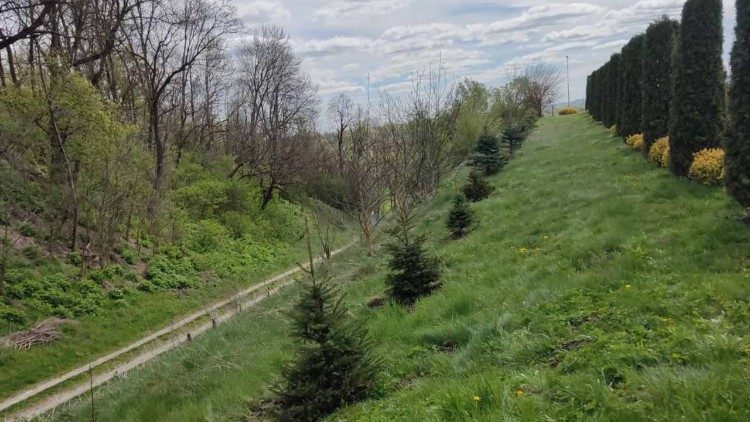 Ukraina: sadzenie drzew znakiem nadziei