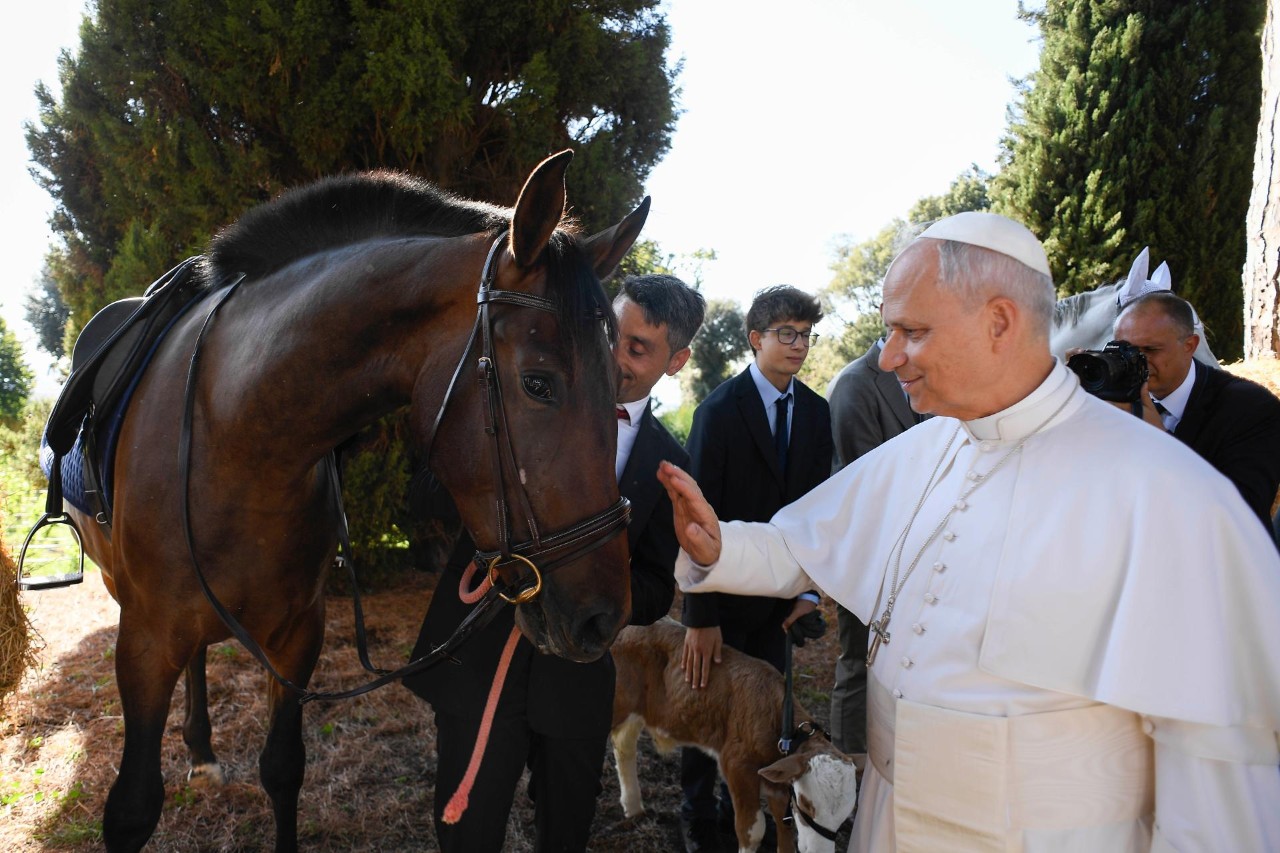 Wyjątkowe miejsce na mapie Włoch. Czym tak naprawdę jest Borgo Laudato si? 