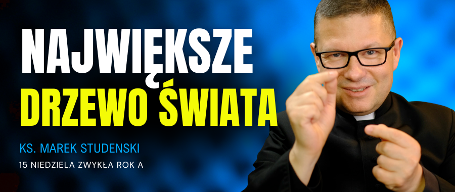 „Szklanka dobrej rozmowy”: Największe drzewo na świecie [+WIDEO]