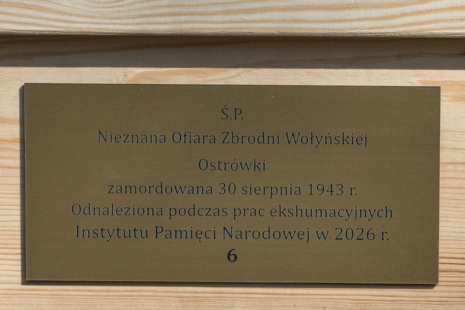 Fot. PAP/Vladyslav Musiienko